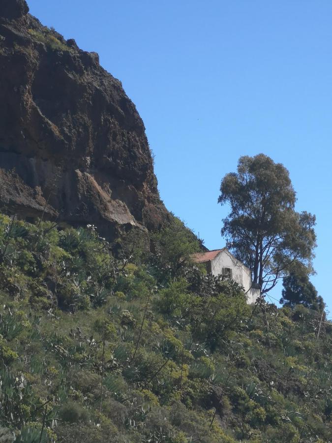 Suite Zen Y Cueva Refugio Tenteniguada Exterior photo